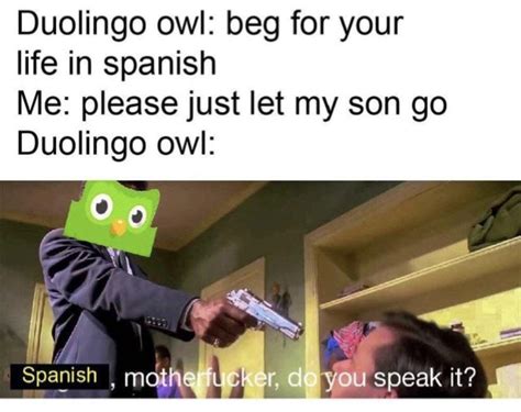memes de duolingo|25 Best Duolingo Memes And Jokes .